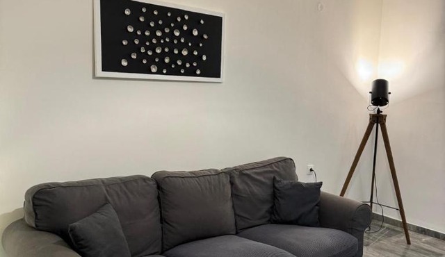 Central Elegant Flat