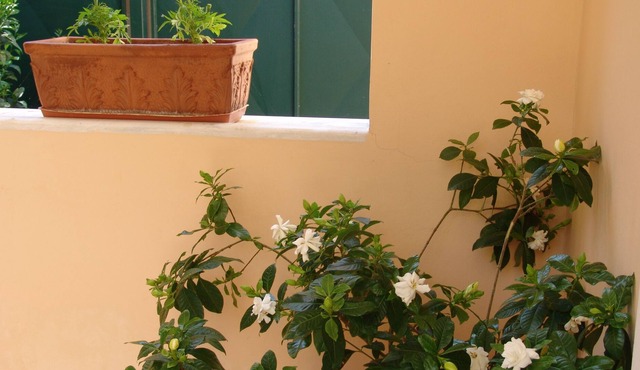 Close to the airport and the sea. in Porto Rafti