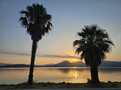 Dimitra's Paradise Villa in Lygia