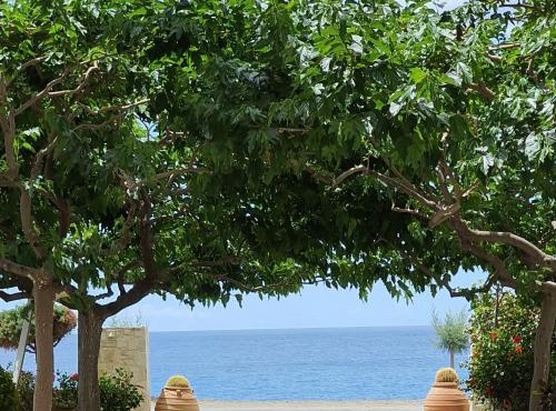 Eirini Apts On the beach in Myrtos