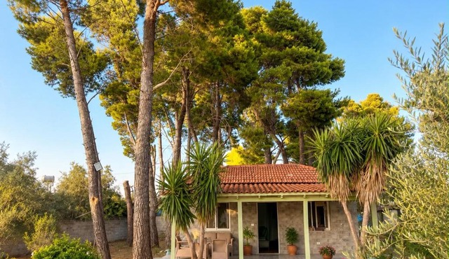 EKA lll Villas Green Forest in Vlorë