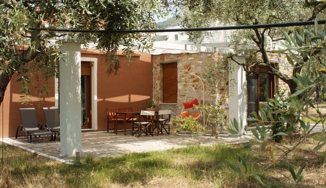 ELEA 2, NEW STONE HOUSES, IN AN OLIVE GROVE, QUIET PLACE, IN THASSOS