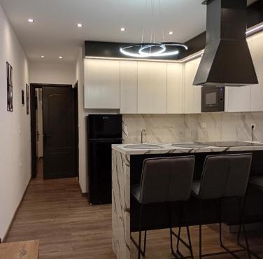 Elegant Apartment 1
