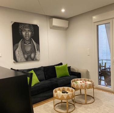 EOLIA 1 - Cosy and luminous flat in the centre of Athens in Athens