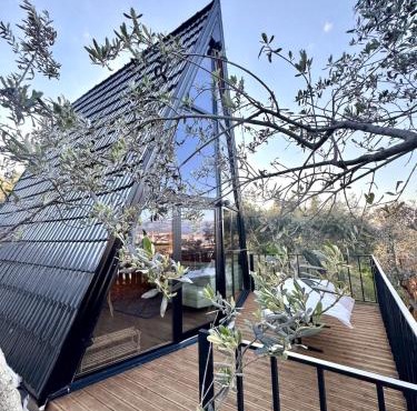 Escape to Nature Calm -Vila Hoxha in Tirana