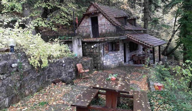 Forest House in Áno Polídhrosos