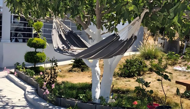 Brand New 2026 Country House with Mountain Views, Wi-Fi & Air Conditioning in Loutraki-Agioi Theodoroi Municipality