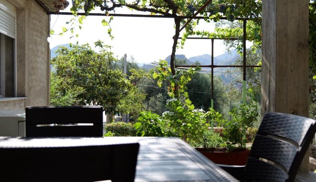 Green Villa in Delvine