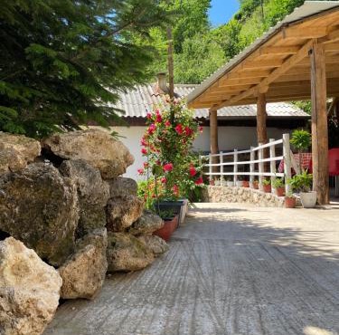 Guest House BOZVILL