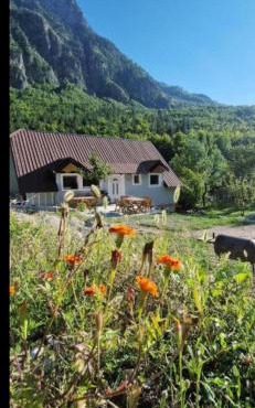 Hostel Sherifaj
