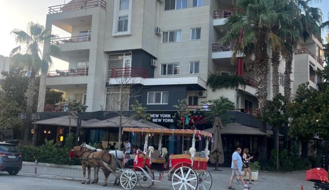 HOTEL Apartments ARDO