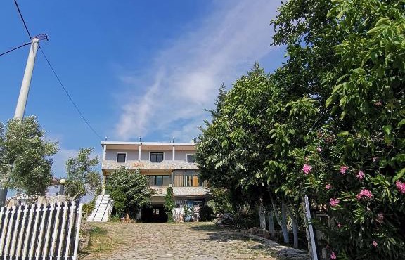 Hotel Bora