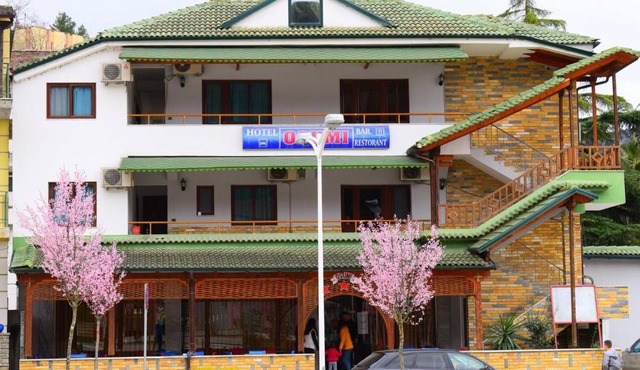 Hotel Osumi