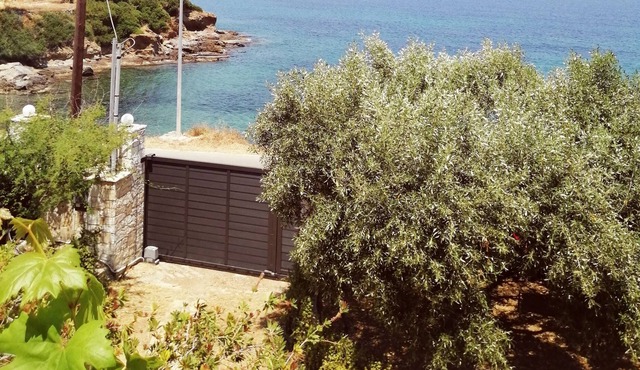 Lemonodasos / Country house in the sea in Poros