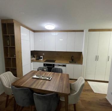 Luxury Apartment