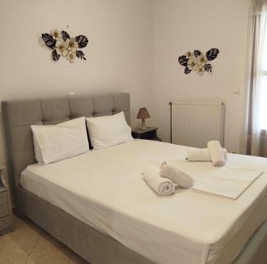 Margarita's home