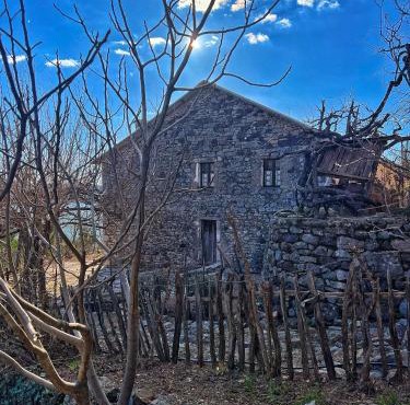 Mark Toma Guesthouse