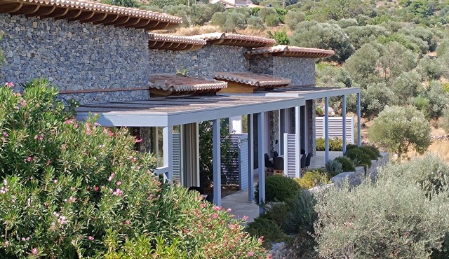 Mertziki Beta/Gamma House