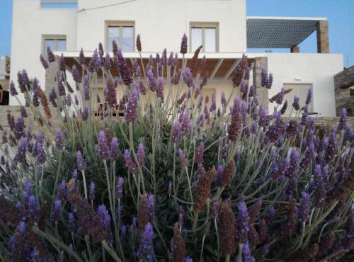 Nesaea seafront house in Parasporos