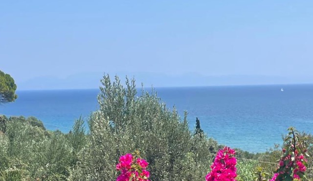 Olive & Sea Villa Koroni