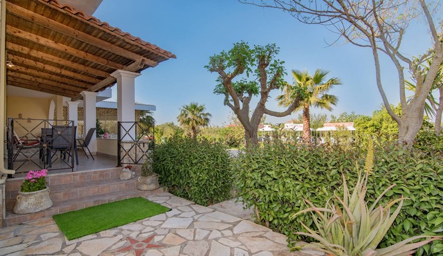 Olive Tree Apartment in zakynthos
