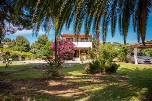 Palm Tree Villa
