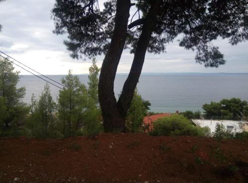 Pefkonas apartments2 100 m from the beach in Psakoudia