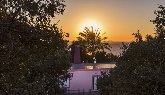 Private house Palm Beach