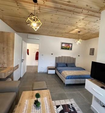 Qyteza Guest House & Camping