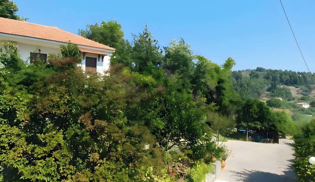 Room 'Orama 23' with Sea View, Wi-Fi and Air Conditioning in Εύβοια