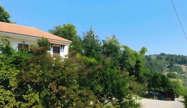 Room 'Orama 29' with Sea View, Wi-Fi and Air Conditioning in Εύβοια
