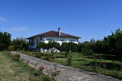 Rrozhani House