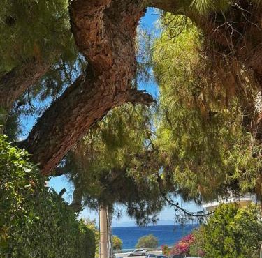 Saronida Beachwalk Stay in Saronida