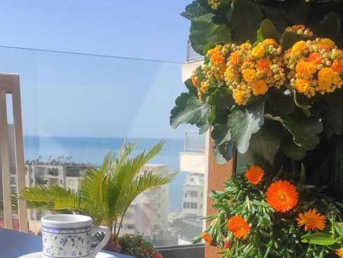 Sea View Garden Spot