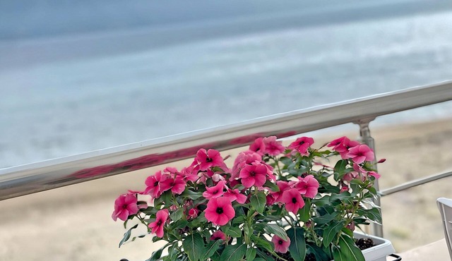 SeaView Apartments Rental Vlore