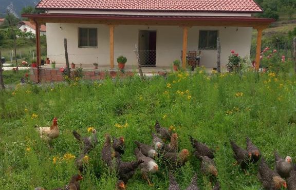 Shpija E AMEL (Sweet Guest House)