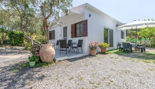 Stella's Olive Tree House in Arkadi
