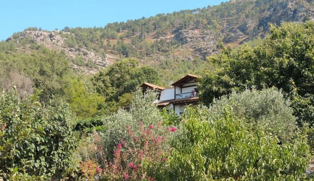 Studio with Amazing Mountain Views in Traditional Thassian Estate !