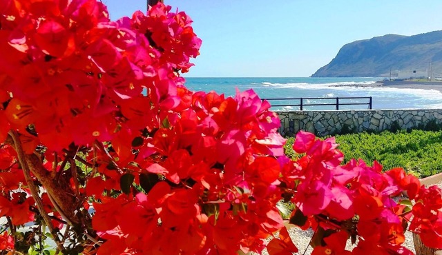 Studio with Seaview in a beautiful garden!