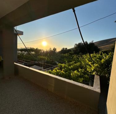Te Nana's Farm