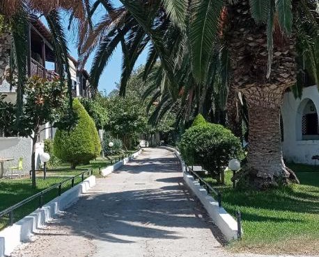 Teo Apartment The Palm Oasis house 80m from the sea in Skala Fourkas