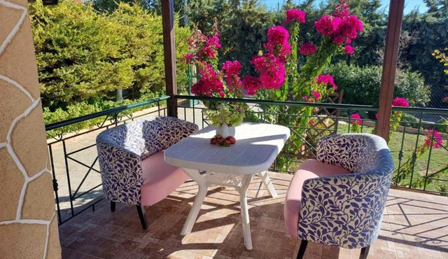 The Bougainvillea villa