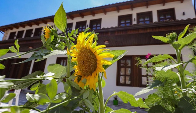 The House of Dollma , Inside Kruja Castle