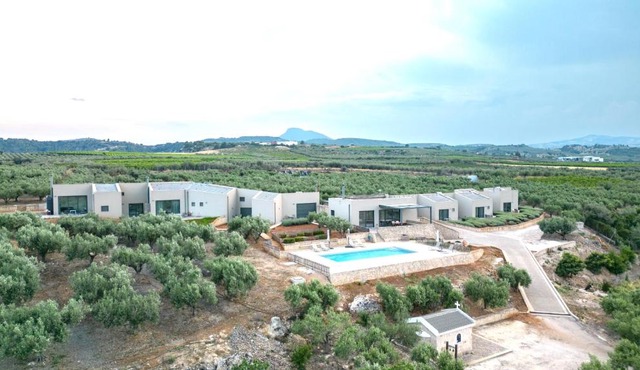 The Olive Hill in Velo-Vocha