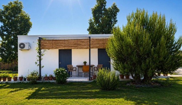 The Pine House