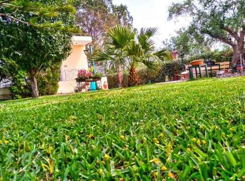 Theocharis Paradise
