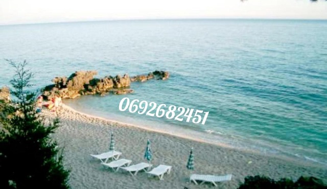 TONEDA Seaside Bungalows