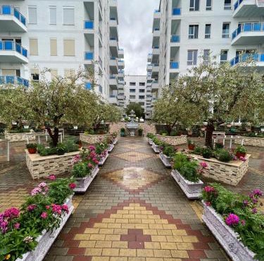 Tushemisht Apartment Rent 1