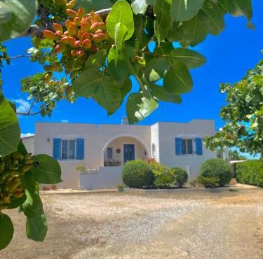 Tzitzi Pistachio Villa