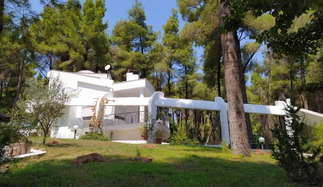 Villa Angie in Sani Beach